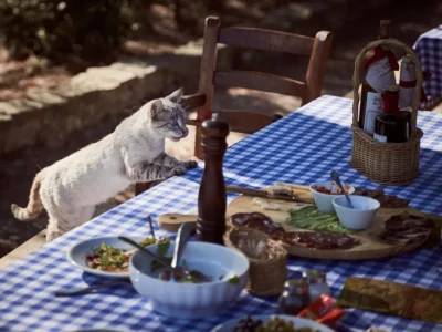 A Ração Mais Cara do Mundo: Luxo e Nutrição para Seu Pet