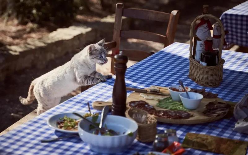 A Ração Mais Cara do Mundo: Luxo e Nutrição para Seu Pet