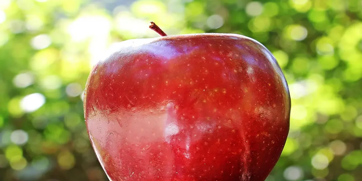 Franquia Apple: Oportunidade Brilhante no Mundo da Tecnologia
