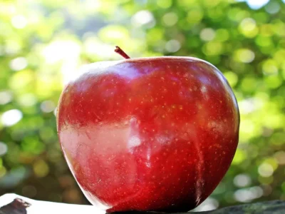Franquia Apple: Oportunidade Brilhante no Mundo da Tecnologia