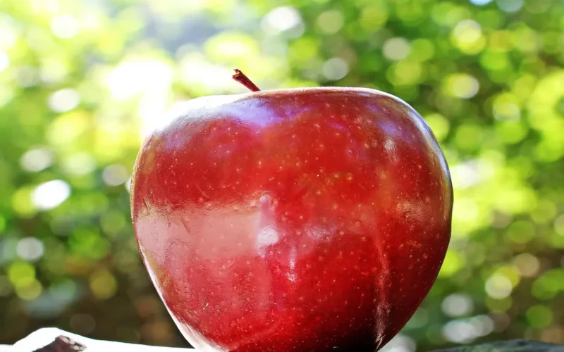 Franquia Apple: Oportunidade Brilhante no Mundo da Tecnologia