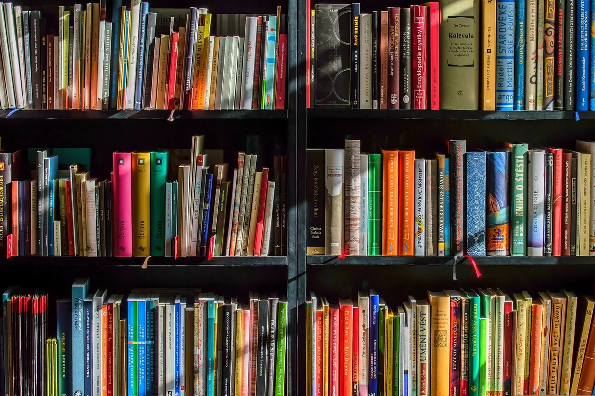 Maximize Seu Shelf Share: Dicas Essenciais para Destacar Produtos na Prateleira shelf share