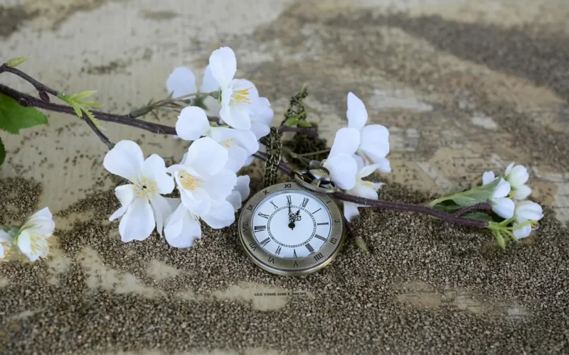 Quem Entra às 7:30 Sai Que Horas? Descubra Aqui!