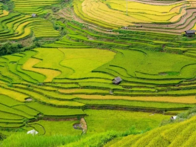 Descubra como Calcular Declive de Forma Simples e Precisa