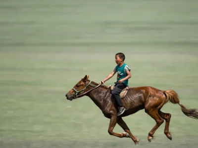 Descubra o Fascinante Mundo do Cavalo Arquetipo