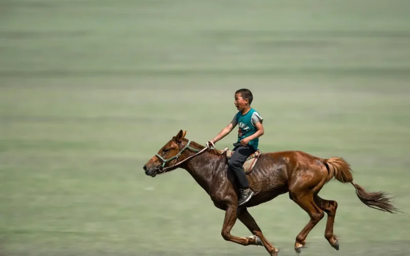 Descubra o Fascinante Mundo do Cavalo Arquetipo