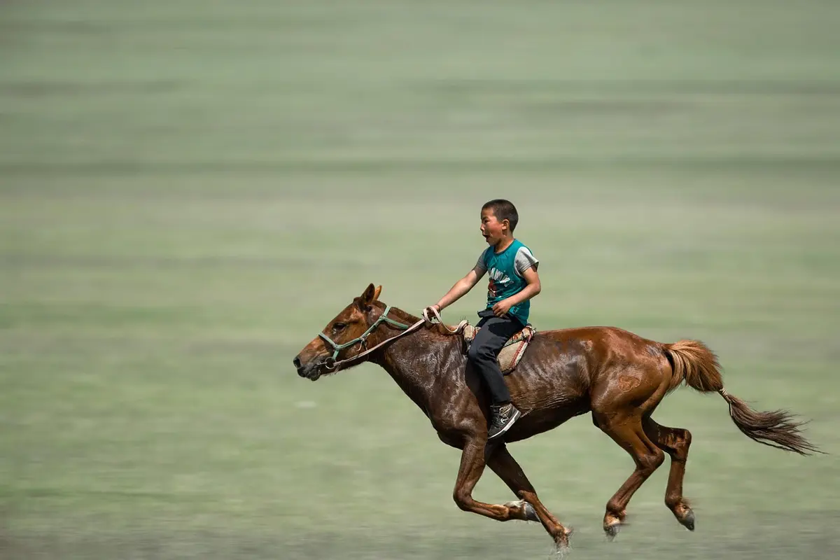 Descubra o Fascinante Mundo do Cavalo Arquetipo