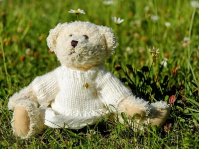 Guia Completo para Maximizar Seu Ted Cred Online