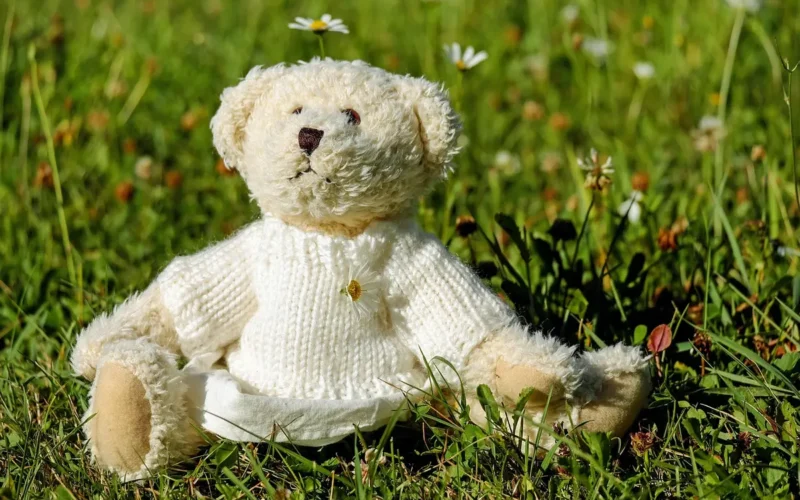 Guia Completo para Maximizar Seu Ted Cred Online