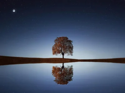 Explorando o Ego: Exemplos Práticos e Impactos