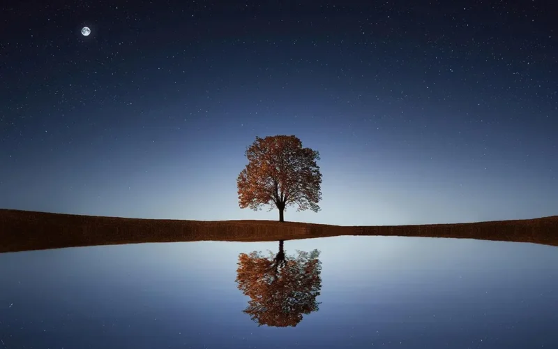 Explorando o Ego: Exemplos Práticos e Impactos