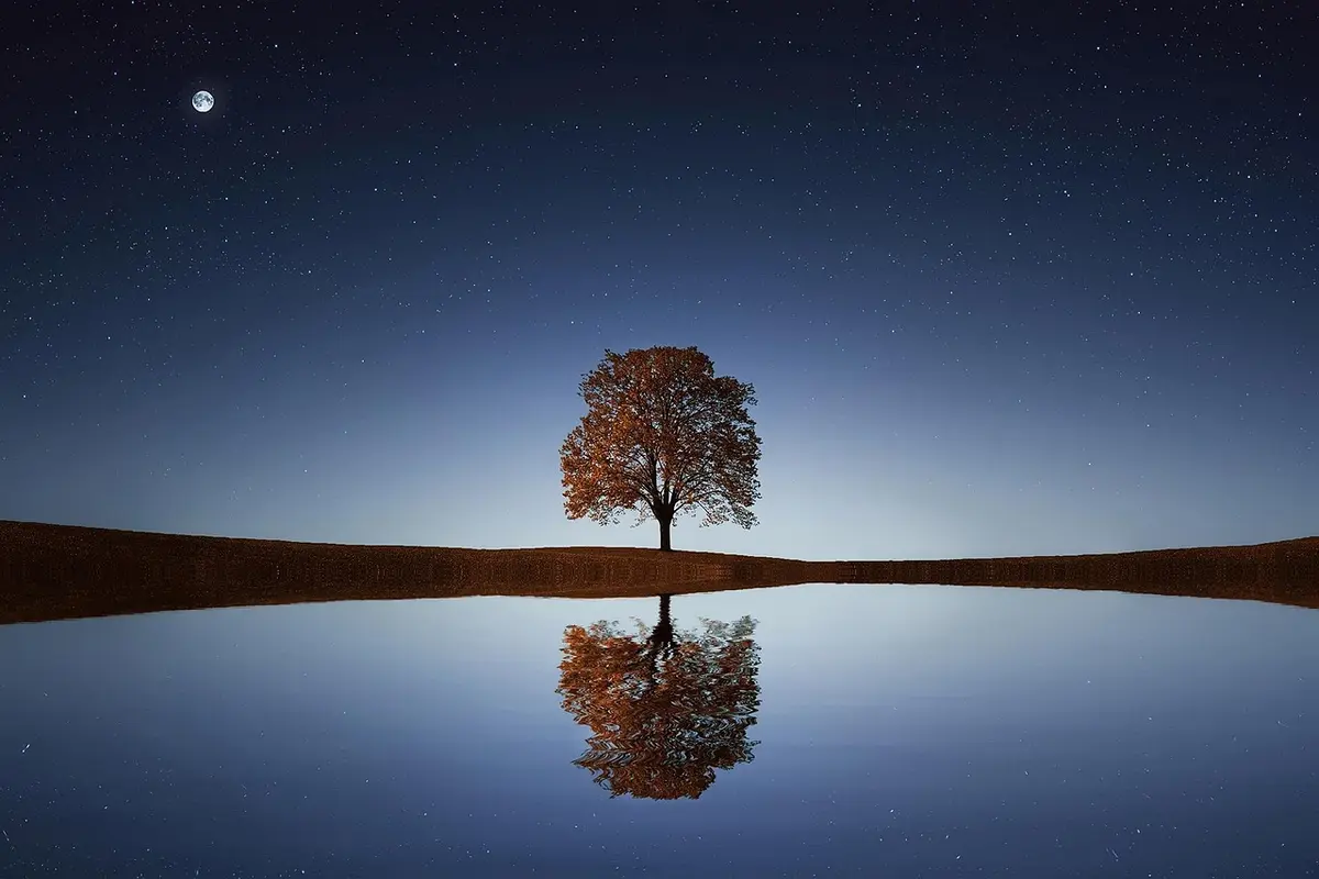 Explorando o Ego: Exemplos Práticos e Impactos
